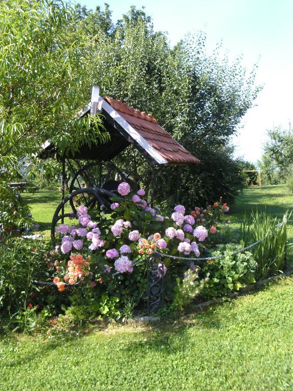 Panorama B&B Ptuj Luaran gambar
