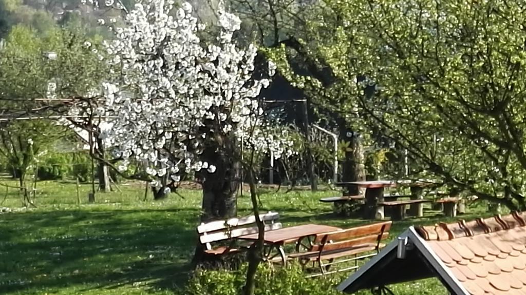 Panorama B&B Ptuj Luaran gambar