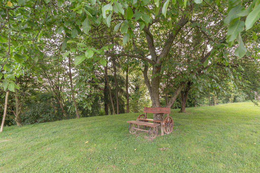 Panorama B&B Ptuj Luaran gambar