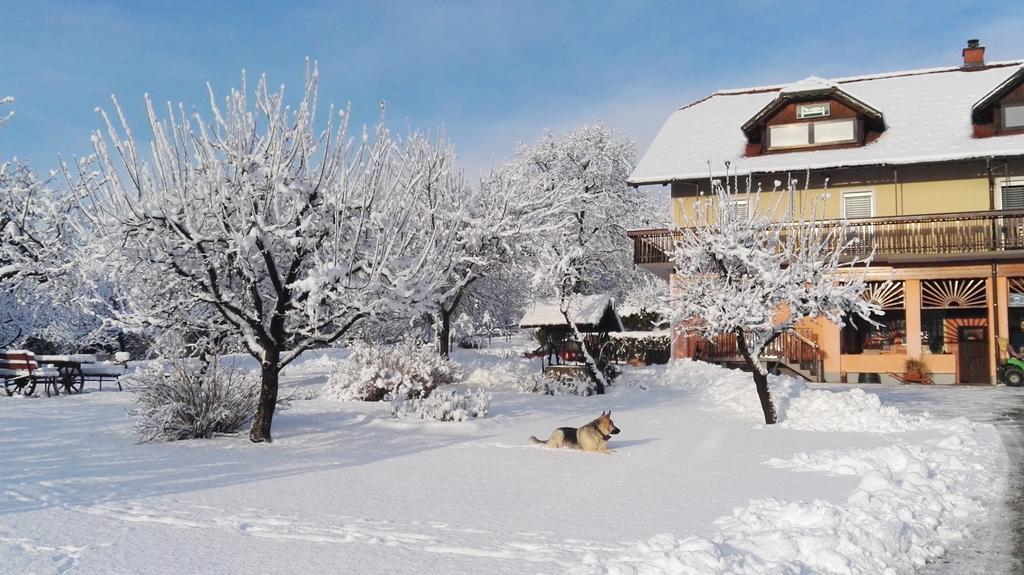 Panorama B&B Ptuj Luaran gambar