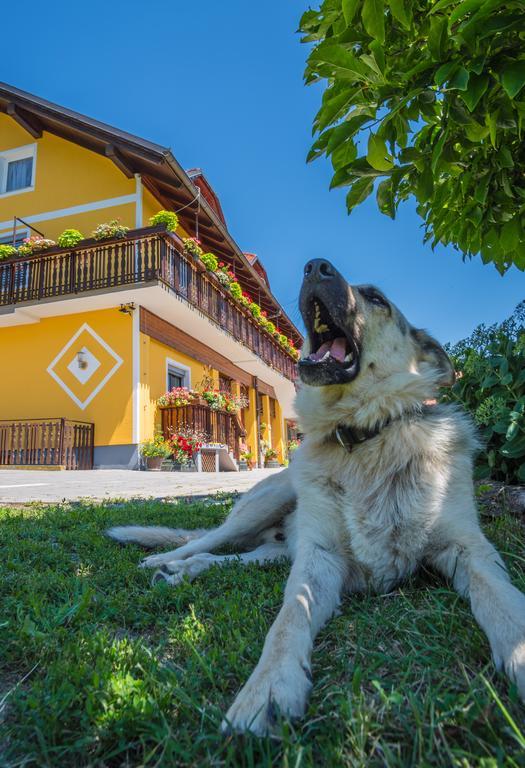 Panorama B&B Ptuj Luaran gambar