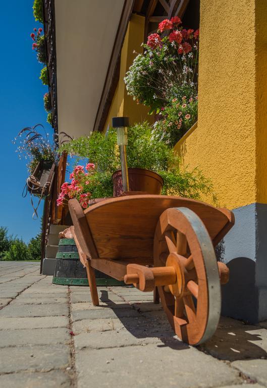 Panorama B&B Ptuj Luaran gambar