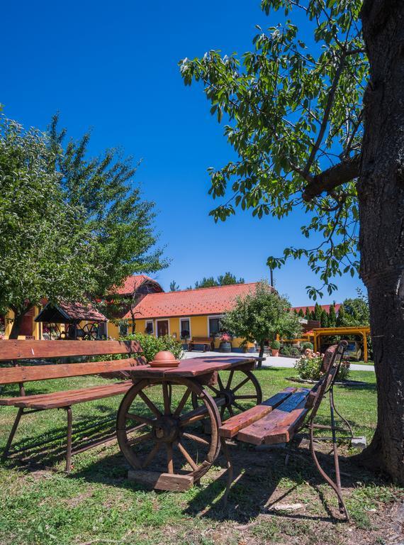 Panorama B&B Ptuj Luaran gambar