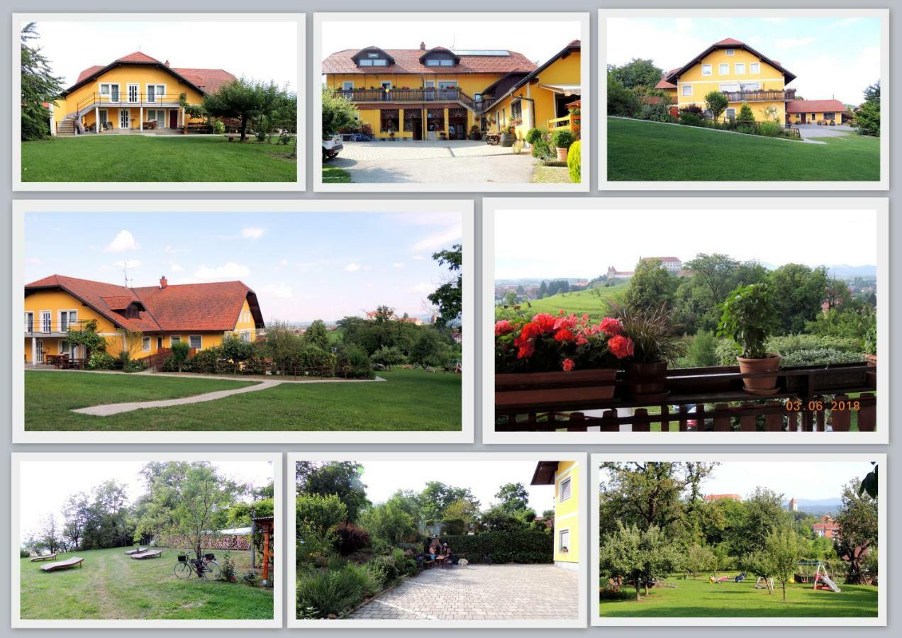Panorama B&B Ptuj Luaran gambar