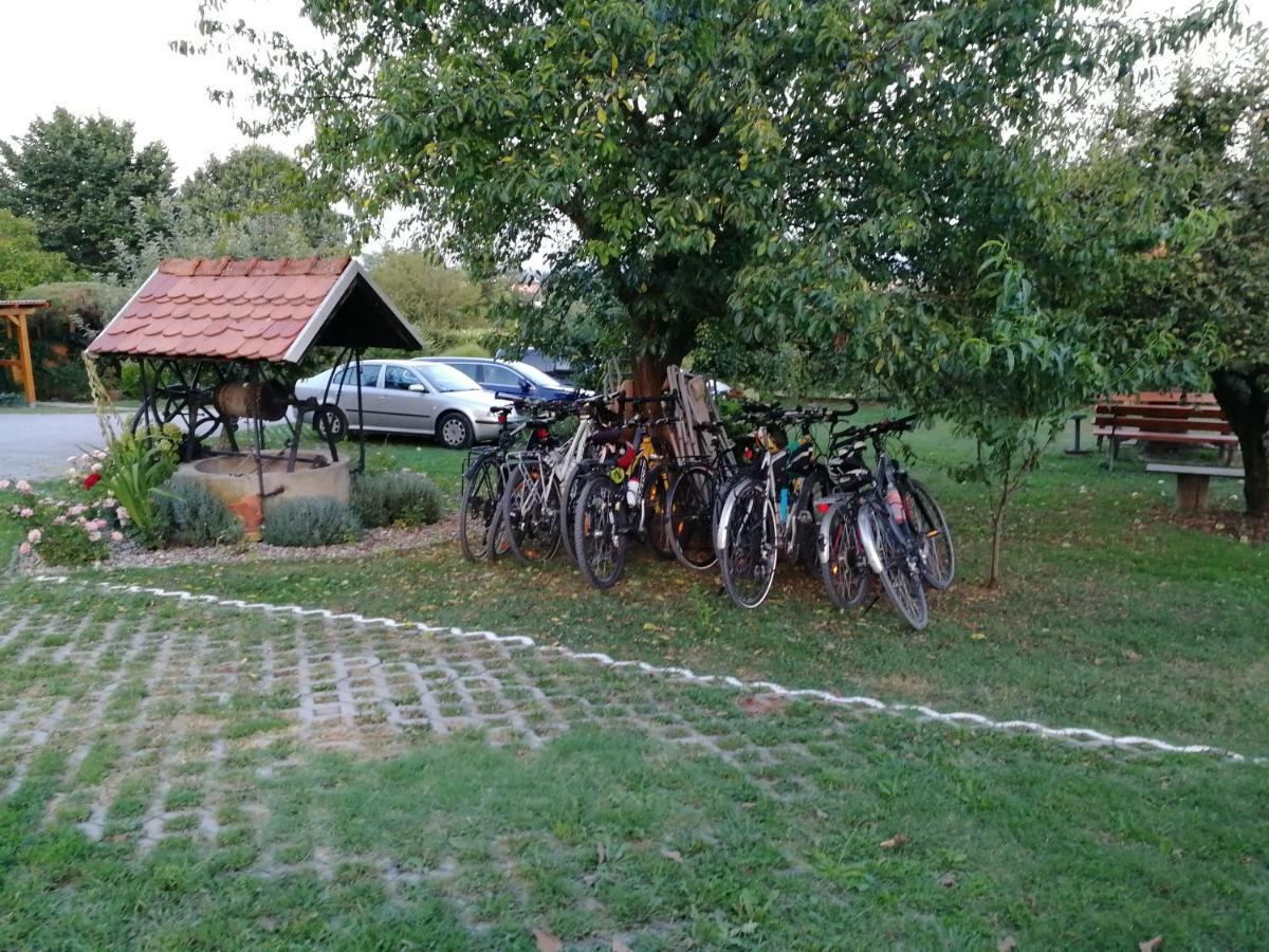 Panorama B&B Ptuj Luaran gambar